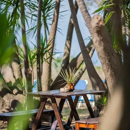 Apartament Lazaris *